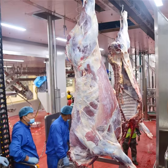 Automatic Cattle Slaughter Machine Sheep Slaughtering Equipment for Farm