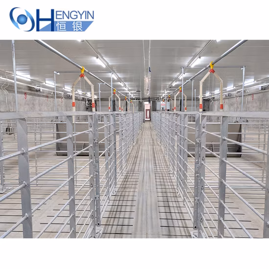 Pig Farm Equipment Finishing Pig Cage/Crates/Stall