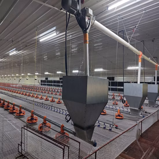 Sistema automático de alimentación y bebedero para aves de corral, equipo de cría para granja avícola, elevación en la planta baja, utilizado para guail/ganado/pato/pollo con robot/cortina de ventilador
